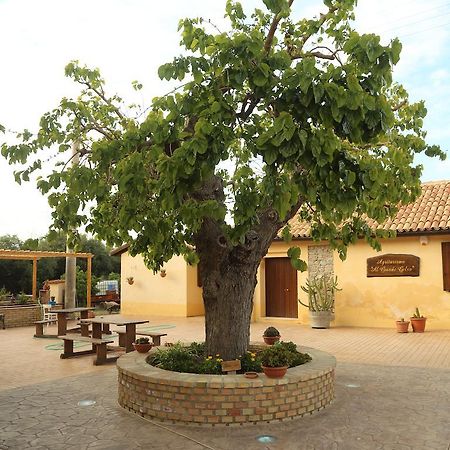 Al Grande Gelso Villa Cariati Luaran gambar